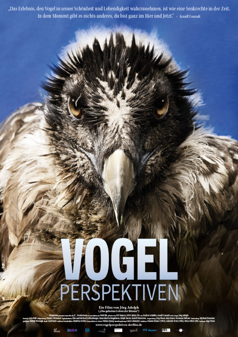 Filmvorführung Vogelperspektiven